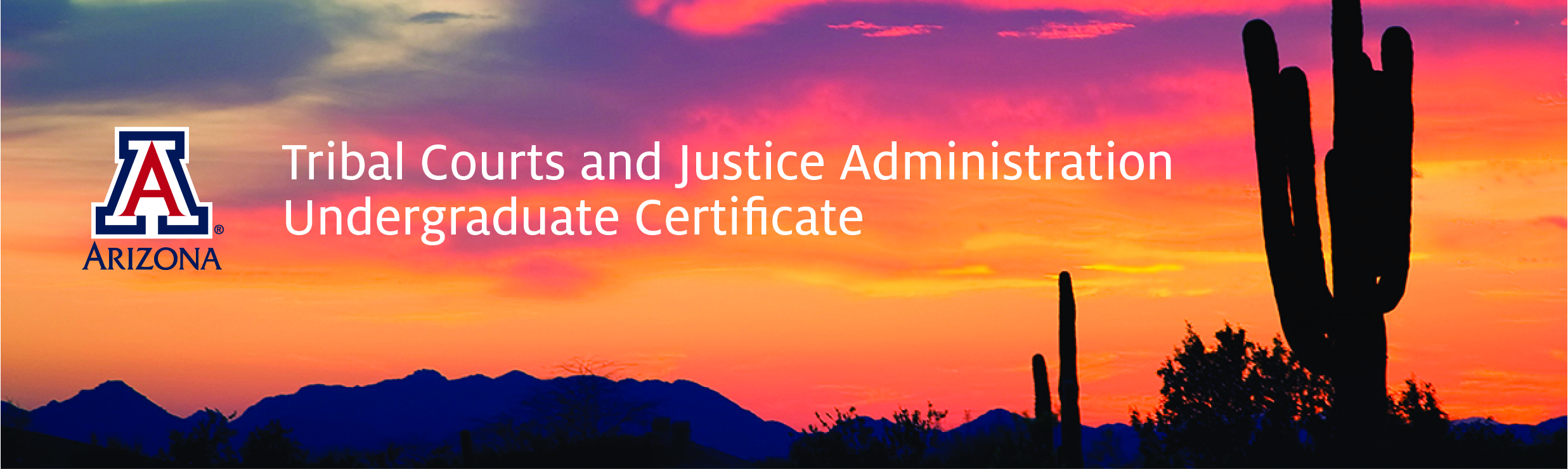Tribal Courts and Justice Administration Undergraduate Certificate